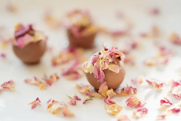 Fever Slots Kasino Android/iOS aplikace